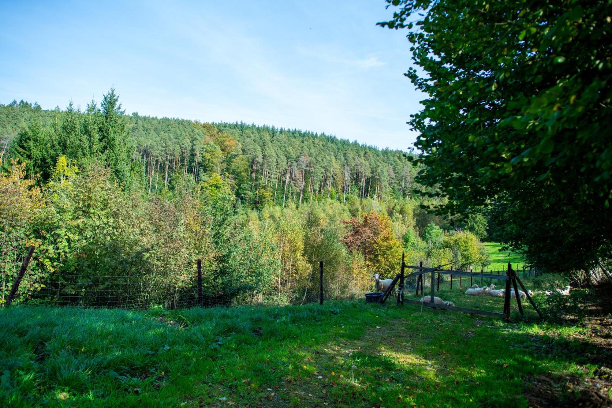 La Tiny House De La Bergerie Farm stay *